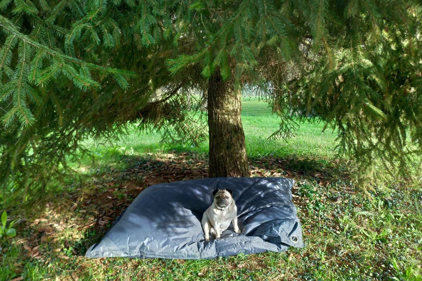 Espace coussin extérieur Espace coussin extérieur